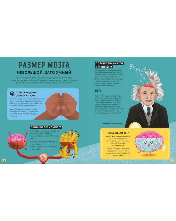 Его величество мозг. Все самое интересное о работе мозга людей, животных и роботов