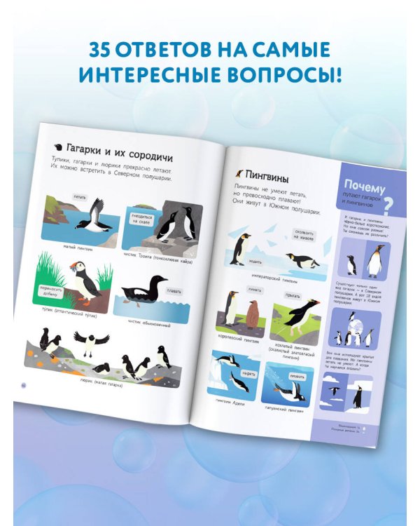 Подводный мир