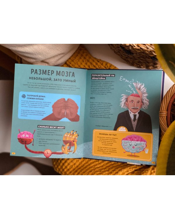 Его величество мозг. Все самое интересное о работе мозга людей, животных и роботов