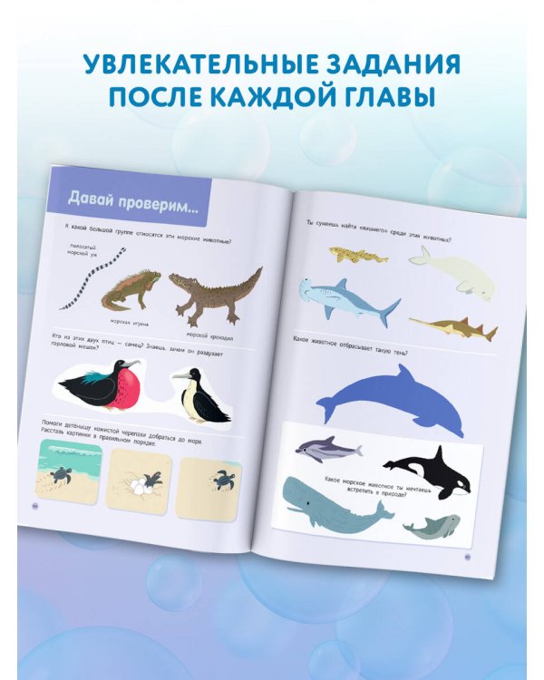 Подводный мир