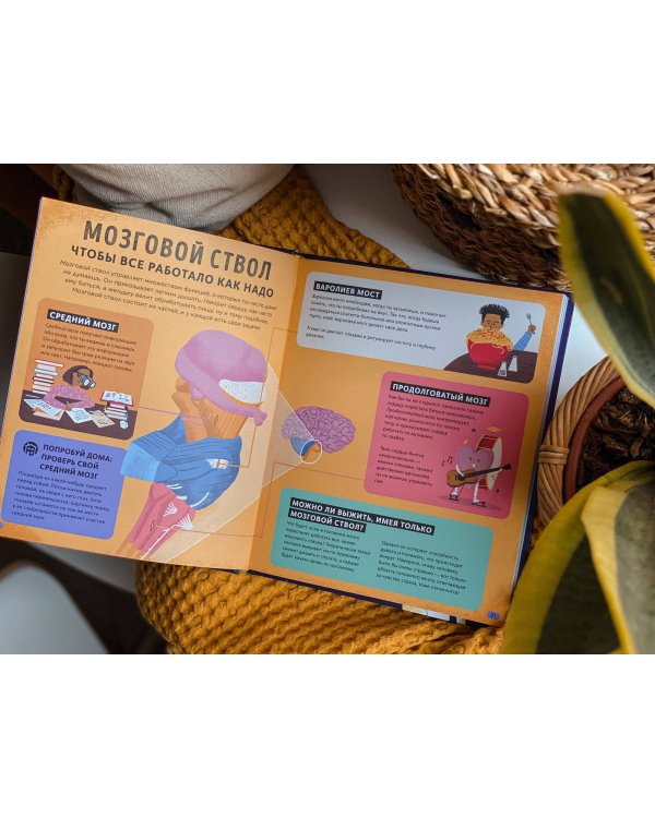 Его величество мозг. Все самое интересное о работе мозга людей, животных и роботов