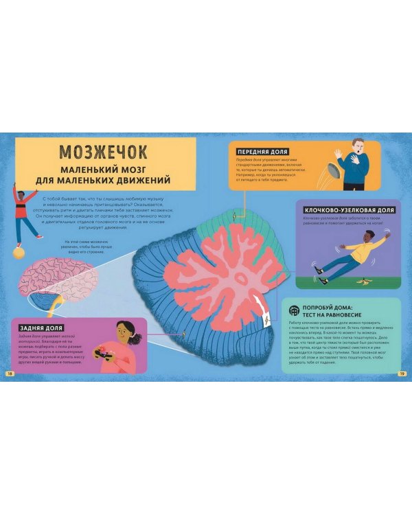 Его величество мозг. Все самое интересное о работе мозга людей, животных и роботов