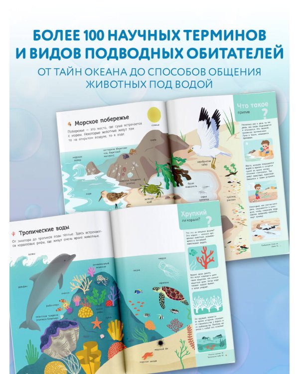 Подводный мир
