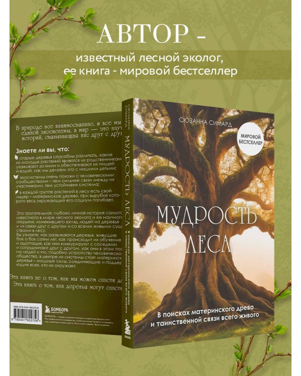 Мудрость леса. В поисках материнского древа и таинственной связи всего живого