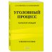Уголовный процесс. Конспект лекций 2-е издание