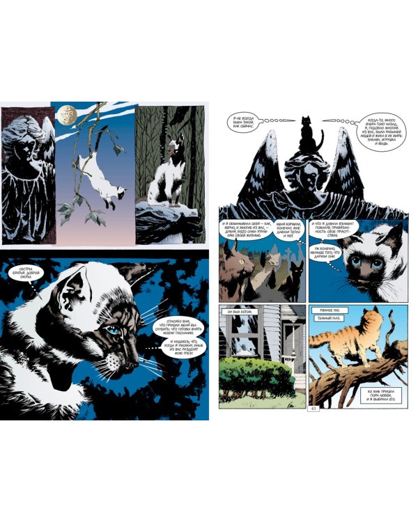 The Sandman. Песочный человек. Книга 3. Страна снов