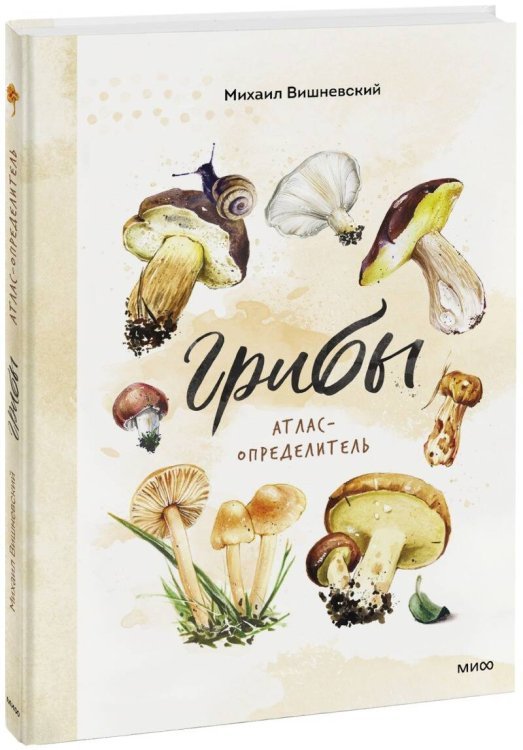 Мой первый определитель Грибы. Атлас-определитель