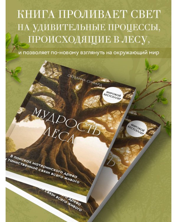 Мудрость леса. В поисках материнского древа и таинственной связи всего живого