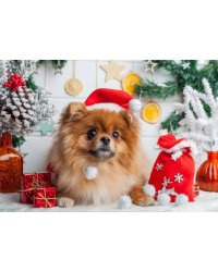 Алмаз.моз.(класс.)30х40см без подр.,с полн.заполн.(34цв.) НОВОГОДНИЙ ЩЕНОК И КОТЕНОК Арт. WFC211