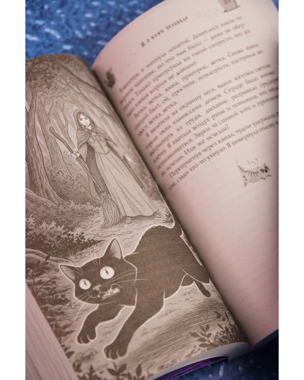 Дополнительное изображение книги «Я у мамы зельевар»