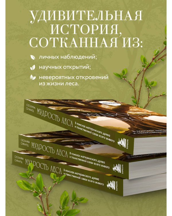 Мудрость леса. В поисках материнского древа и таинственной связи всего живого