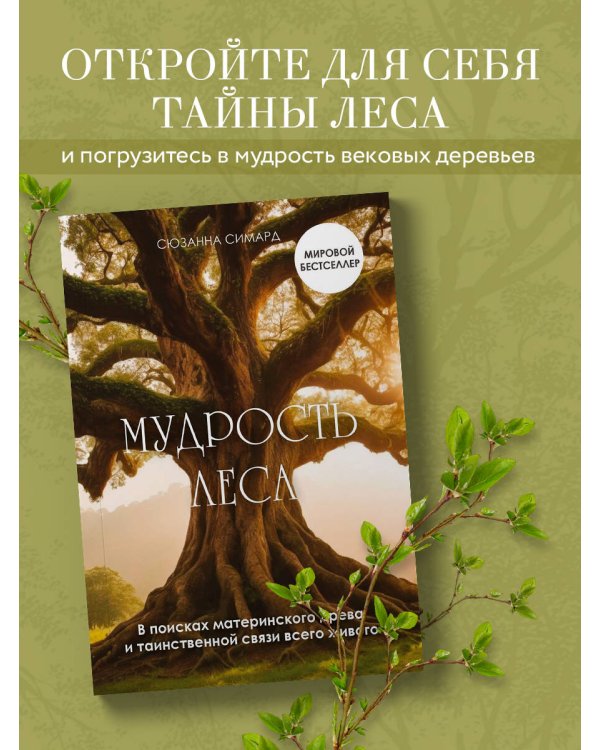 Мудрость леса. В поисках материнского древа и таинственной связи всего живого