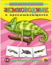 Земноводные и пресмыкающиеся