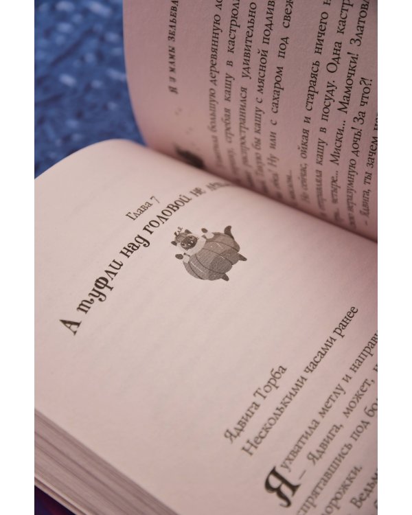 Дополнительное изображение книги «Я у мамы зельевар»