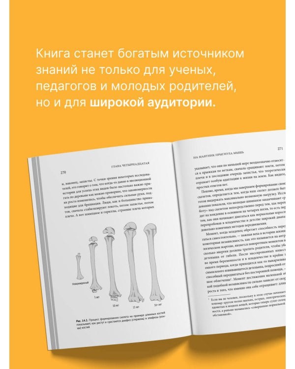 Homo Sapiens. Обезьяна, которая отказалась взрослеть. Занимательная наука об эволюции и невероятно длинном детстве