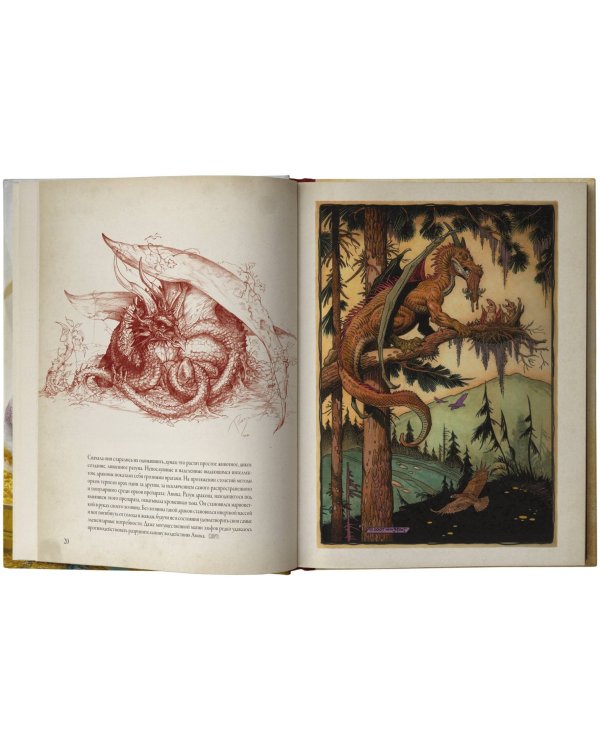 Мир драконов. Второе дыхание с иллюстрациями Жан-Батиста Монжа, Микаэля Бургуэна, Оливье Ледруа и др.