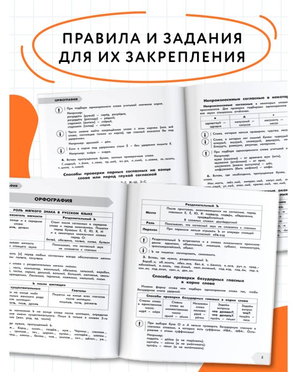 Русский язык в схемах и таблицах. Все темы школьного курса 4 класса с тестами.