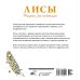 Лисы. Рисунки для медитаций