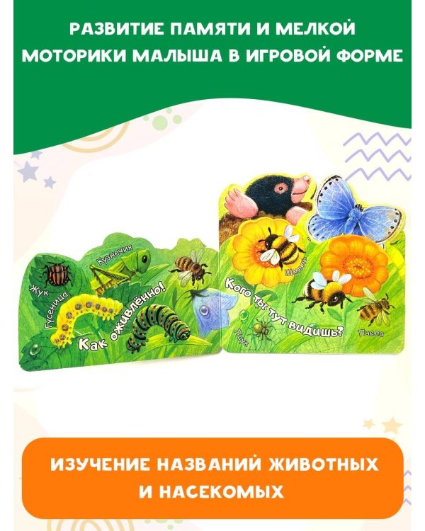 В траве