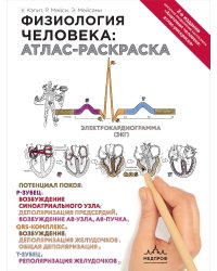 Физиология человека: атлас-раскраска