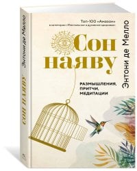 Сон наяву. Размышления, притчи, медитации
