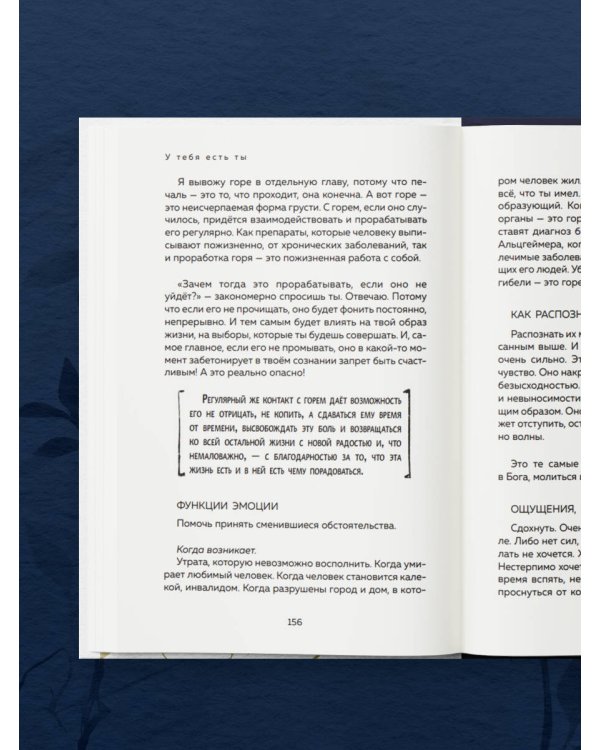 У тебя есть ты. Книга-тренинг о том, как научиться проживать и выдерживать сильные эмоции (2ое издание. Исправленное. Дополненное)