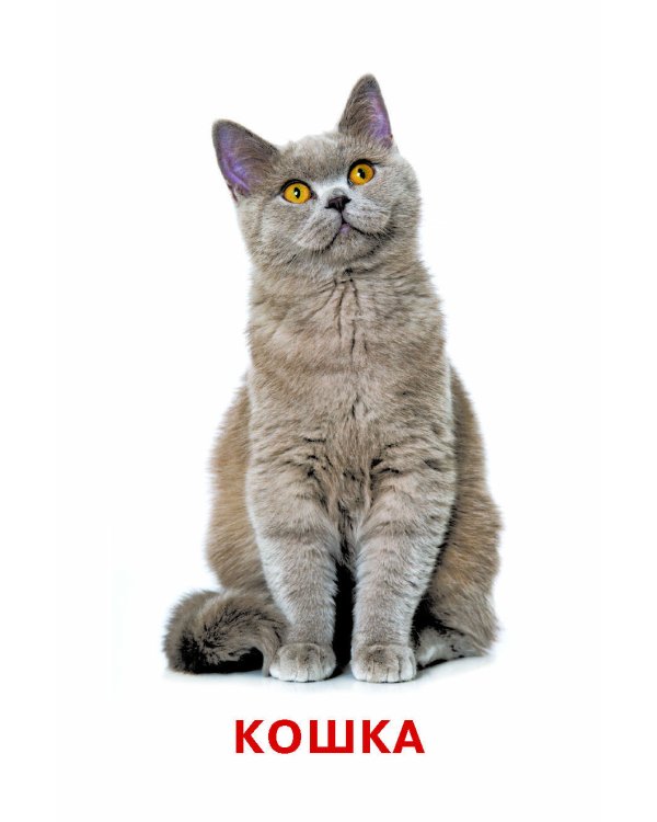 Развивающие карточки Домана. 0-3 лет