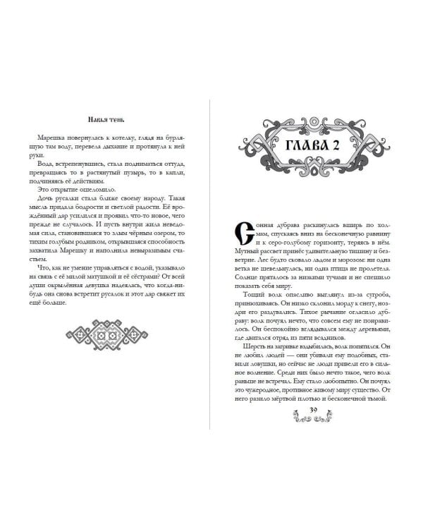 Дополнительное изображение книги «Навья тень (#2)»