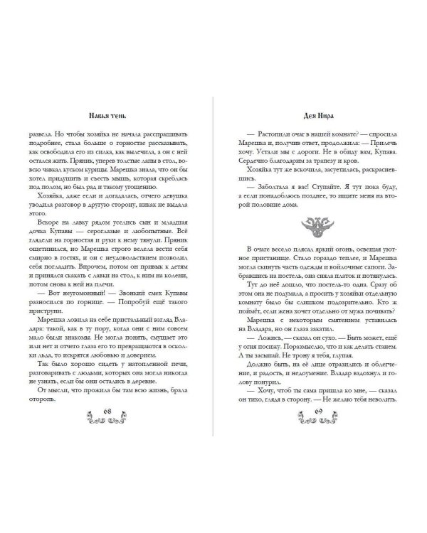Дополнительное изображение книги «Навья тень (#2)»