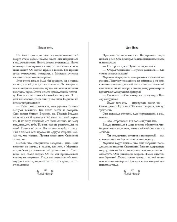 Дополнительное изображение книги «Навья тень (#2)»