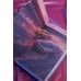 Дополнительное изображение книги «Нелюбимая»