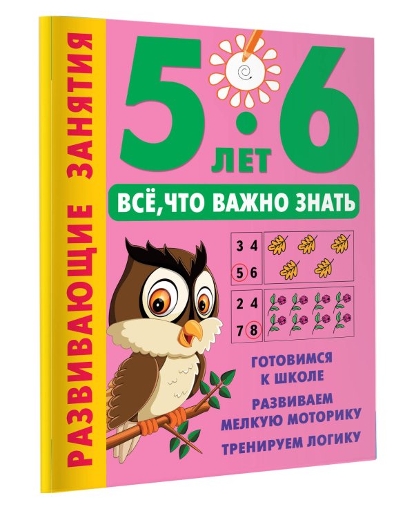 Развивающие занятия. Всё, что важно знать. 5-6 лет