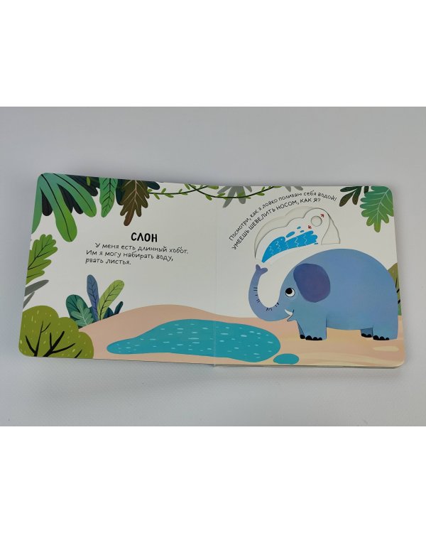 Смотрим, играем, запоминаем! В зоопарке