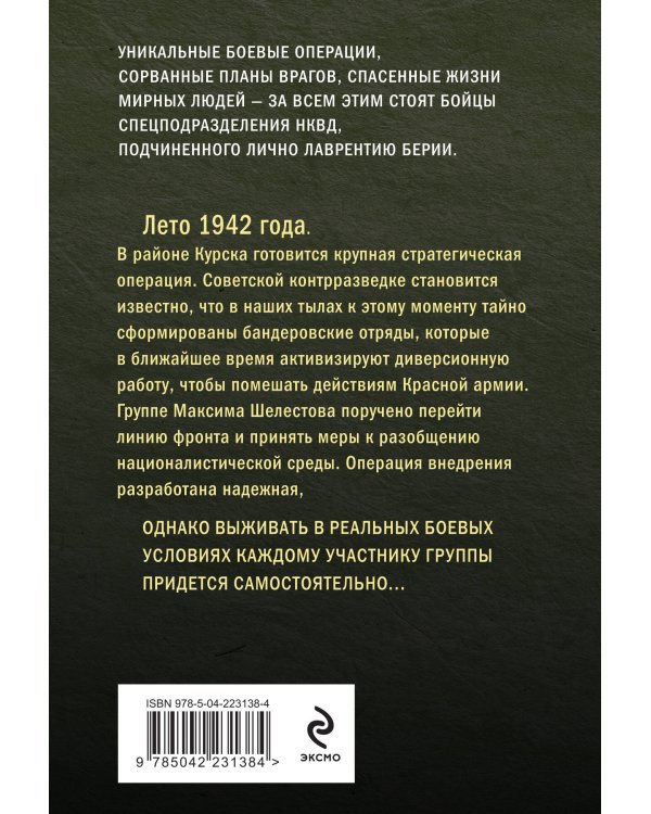 Боевые асы наркома