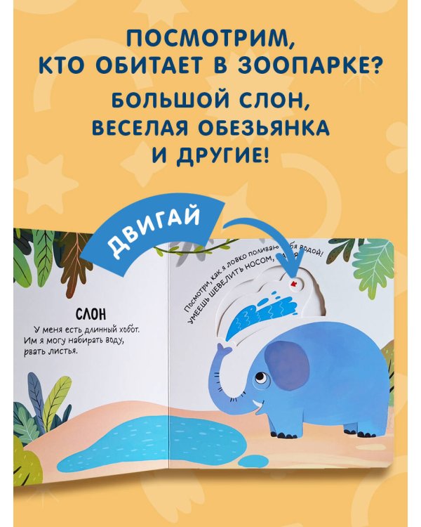 Смотрим, играем, запоминаем! В зоопарке