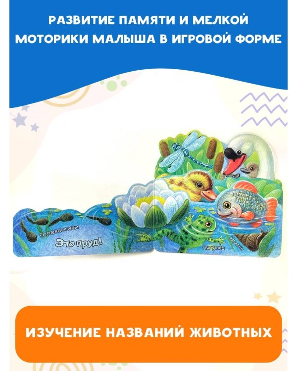 В пруду