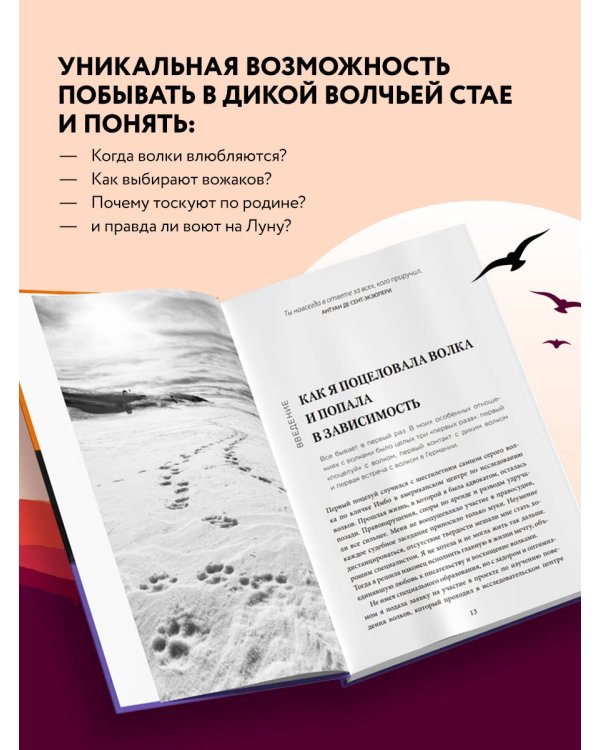 Сила волчьей стаи. Реальные истории из жизни диких хищников