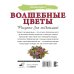 Волшебные цветы. Рисунки для медитаций