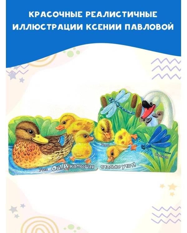 В пруду
