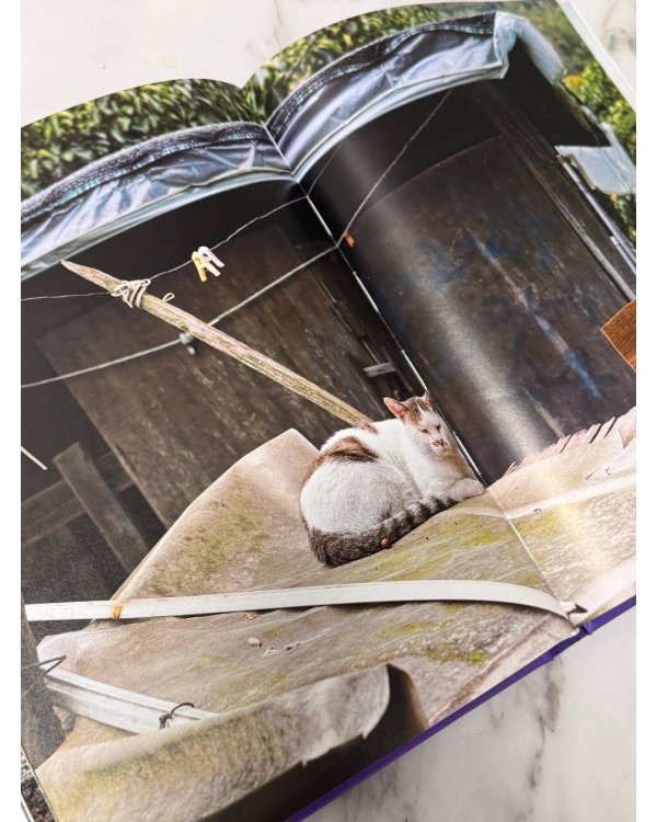 Современное искусство Кореи