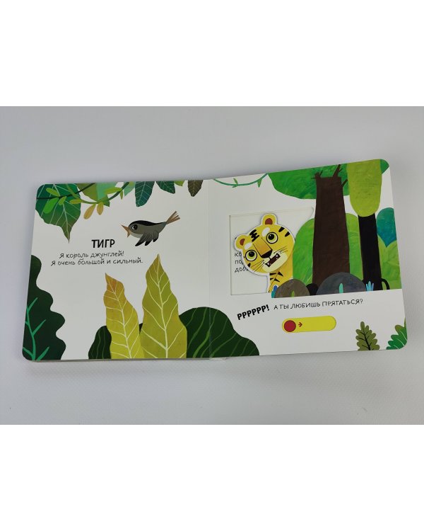 Смотрим, играем, запоминаем! В зоопарке