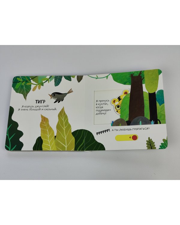 Смотрим, играем, запоминаем! В зоопарке