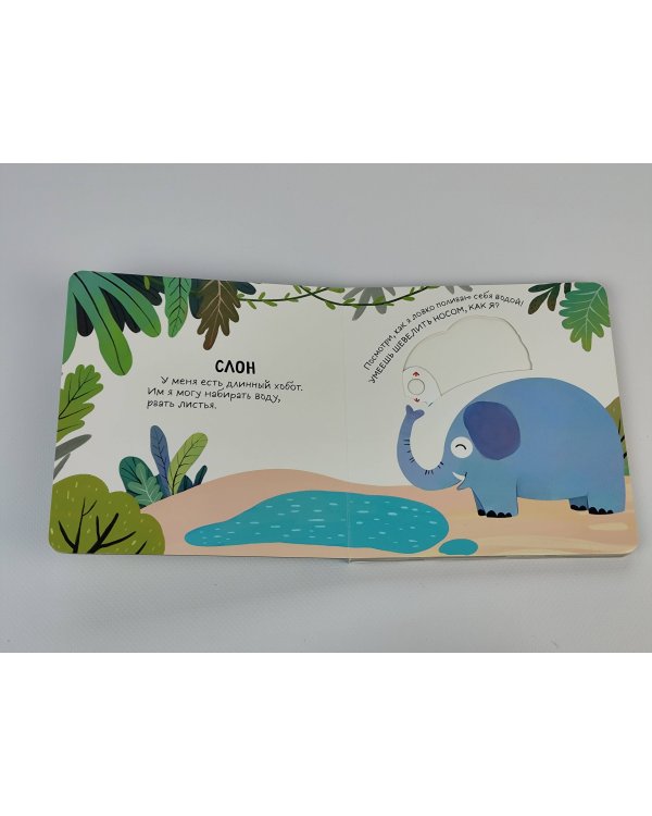 Смотрим, играем, запоминаем! В зоопарке