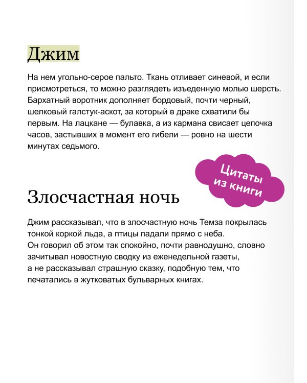 Дополнительное изображение книги «Бюро ненормальных дел. Похититель картин»