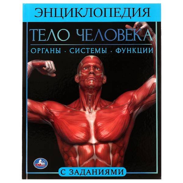 Тело человека.  Энциклопедия А4. 197х255мм, 48 стр.мелов. бумага, тв. переплет, Умка в кор.15шт