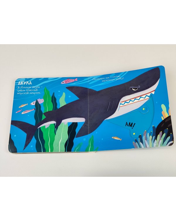 Смотрим, играем, запоминаем! В океане