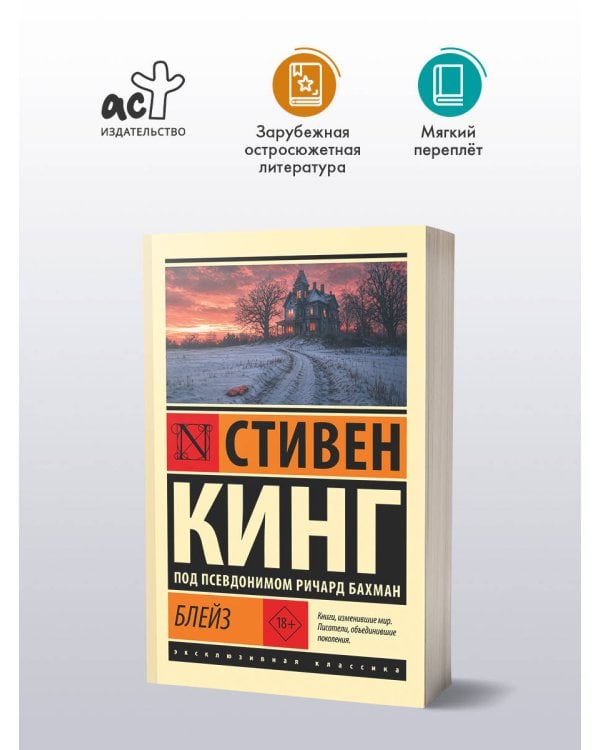 Дополнительное изображение книги «Блейз»