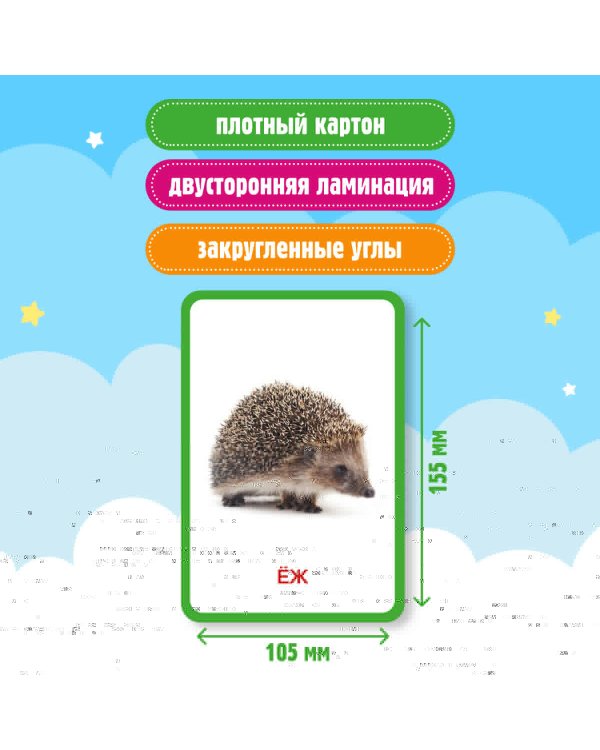 Кто это? Животные. Развивающие карточки для малышей по методике Глена Домана. БОЛЬШОЙ ФОРМАТ