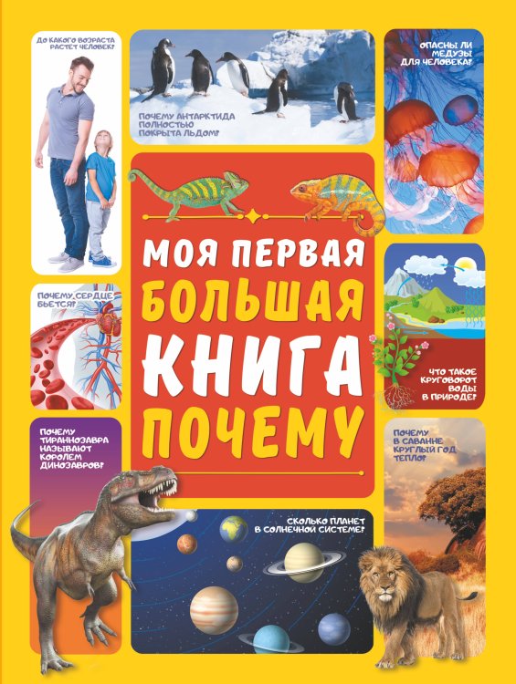 Моя первая большая книга Моя первая большая книга ПОЧЕМУ
