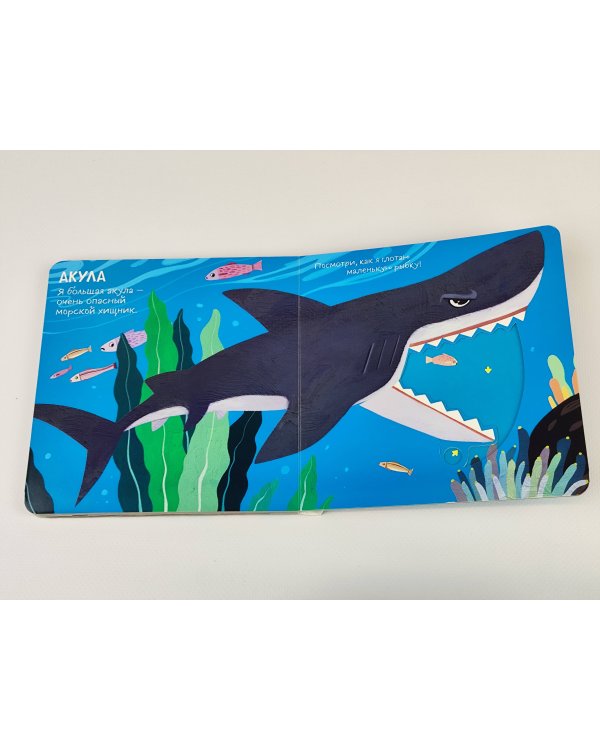 Смотрим, играем, запоминаем! В океане